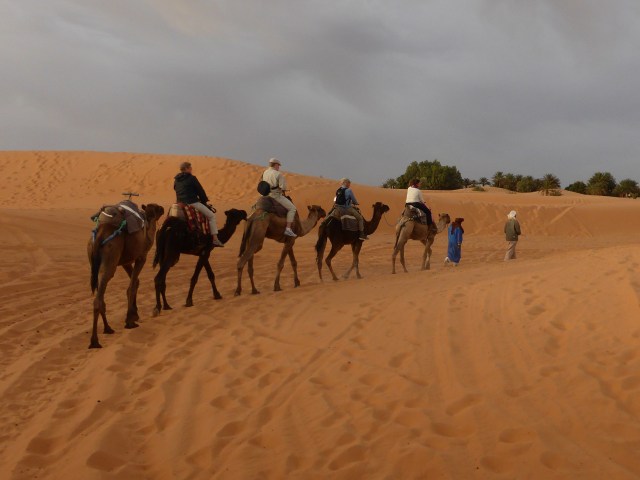 Merzouga ørken