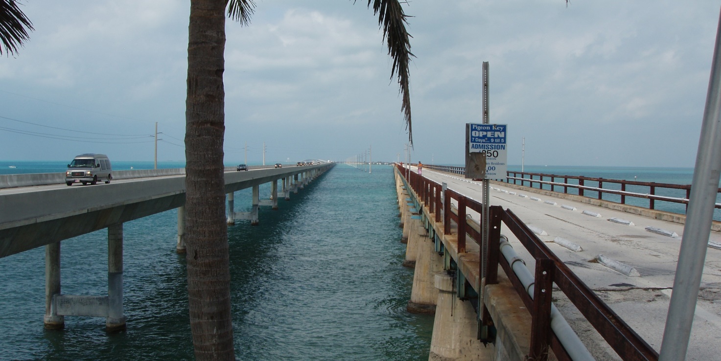 Livets forskellige løbebaner ved Key West