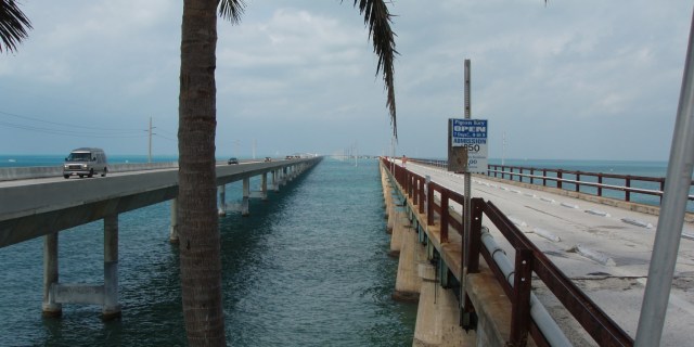 Livets forskellige løbebaner ved Key West
